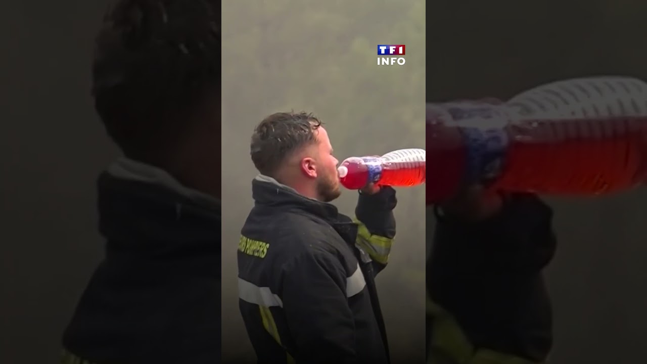 Incendies en Gironde : importantes reprises de feu｜TF1 INFO
