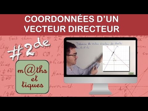 Déterminer les coordonnées d'un vecteur directeur - Seconde