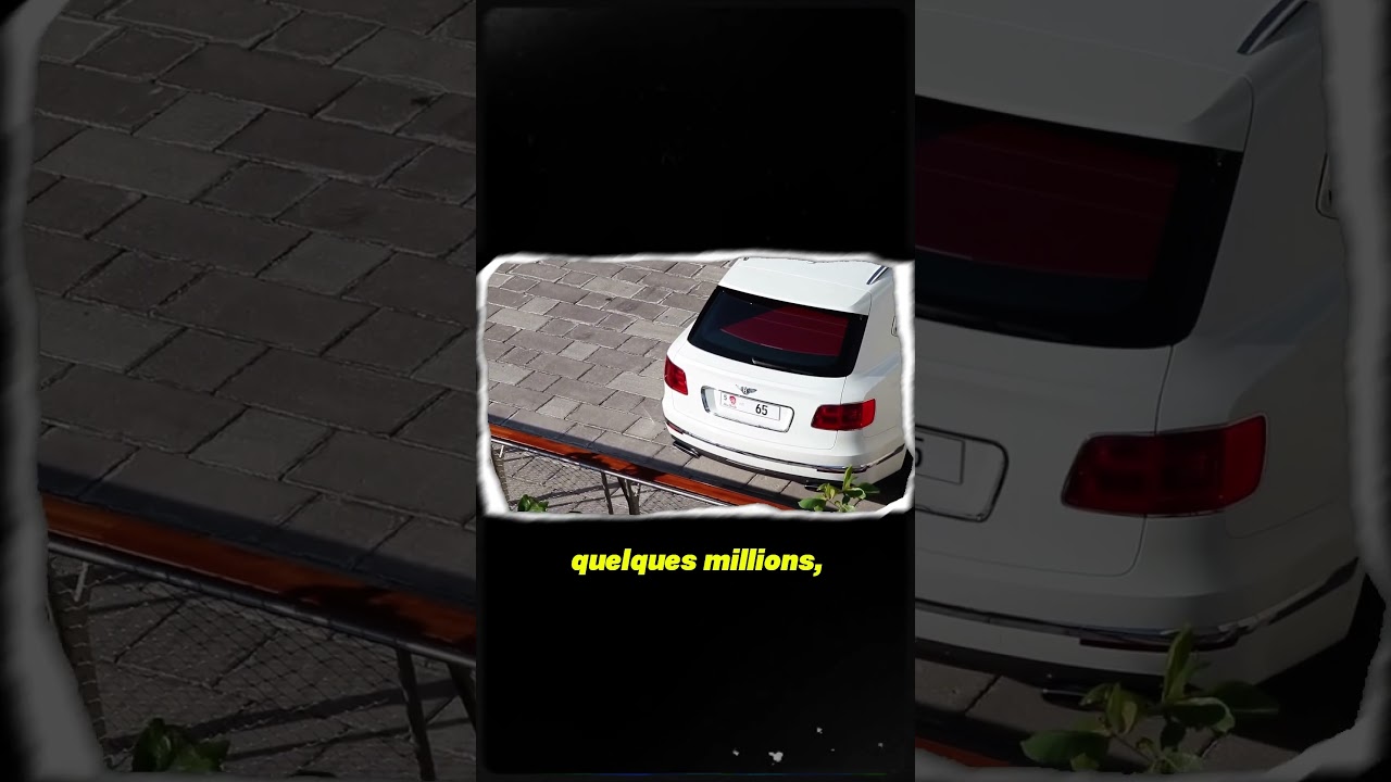 Les Plaques d'Immatriculation Les Plus Chères—Dubaï et Abu Dhabi Ont Tout!