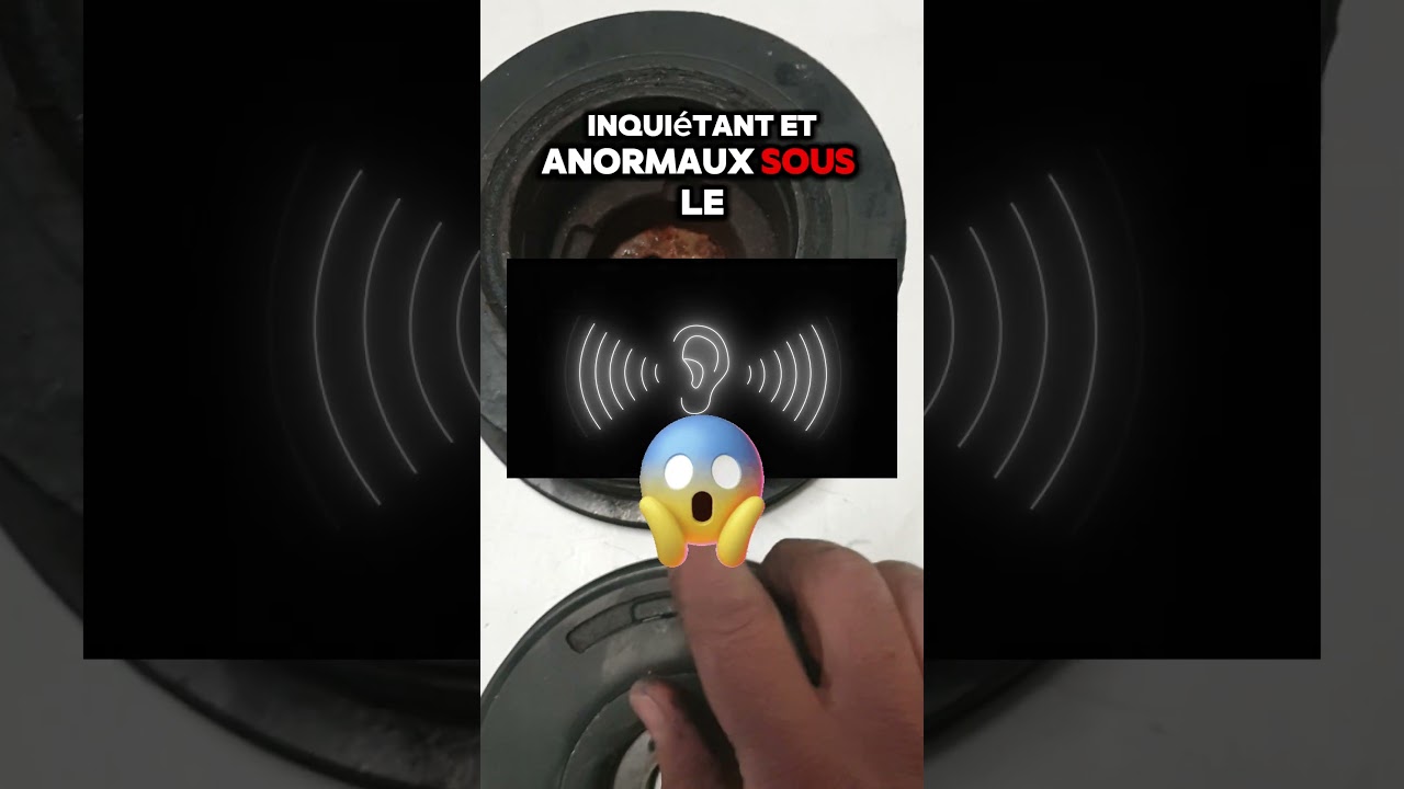 c'est quoi une poulie Damper #mecaniqueautomobile #réparationfacile #automobile #vilebrequin #astuce