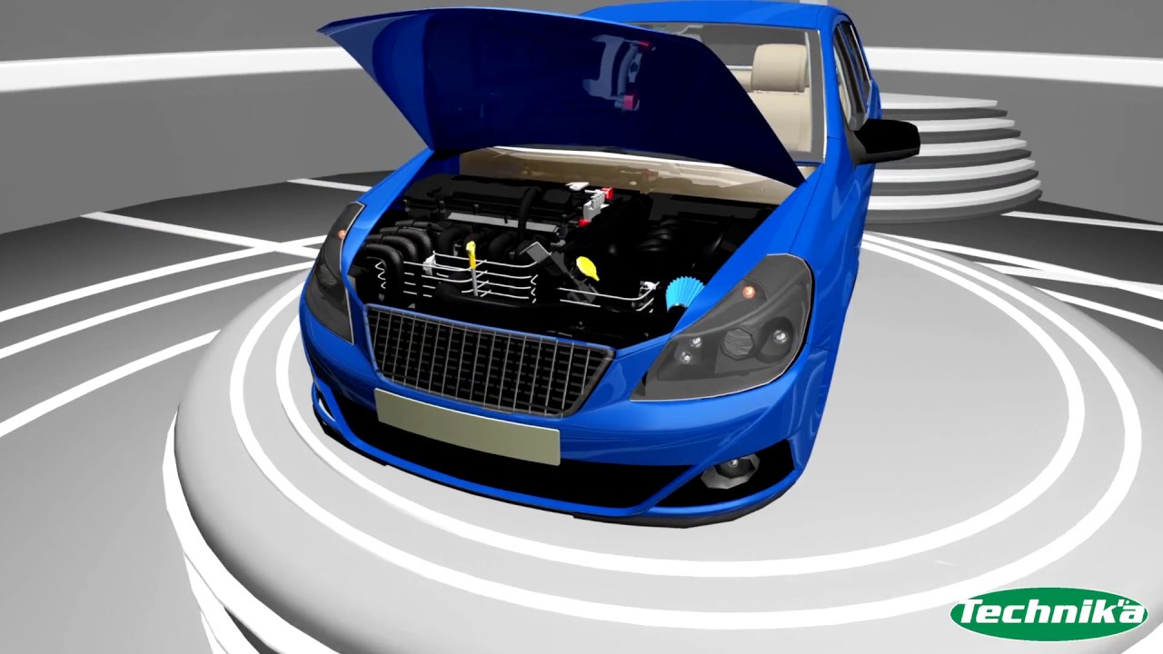 Poulie Damper Technik'a