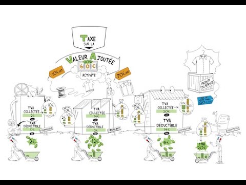 Dessine-moi l'éco : TVA collectée, TVA déductible... Qui paye réellement ?