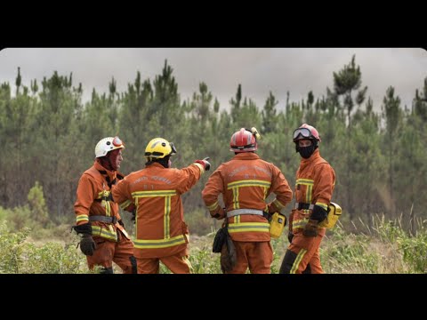 Incendies : des entreprises "libèrent" leurs salariés pompiers volontaires