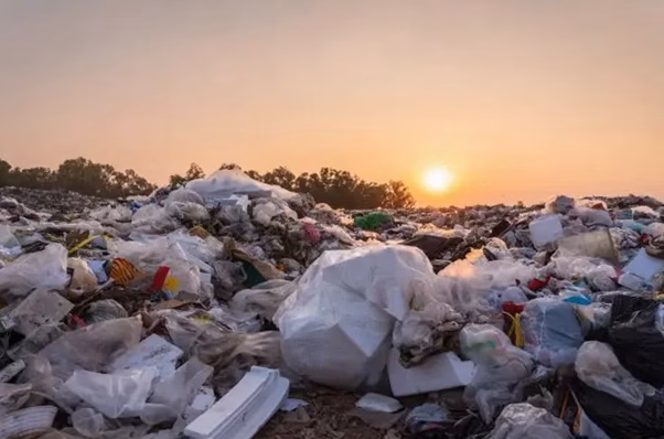 Dépollution express : 200 000 mégots recyclés chaque heure pour créer des doudounes écoresponsables